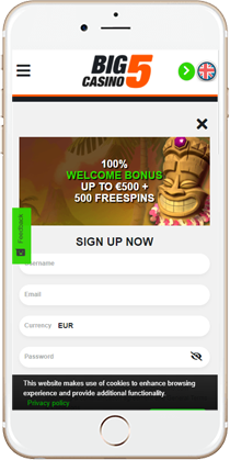 Big5 Casino on Mobile