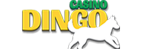 Casino Dingo