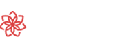 BetChan Casino