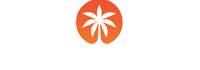 Rich Palms Casino