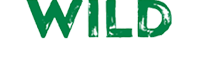 Wild Casino