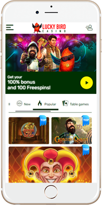 Lucky Bird Casino on Mobile