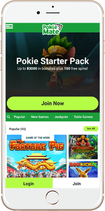 Pokie Mate Casino on Mobile