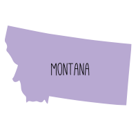 Current State of US Online Casino Gambling Law